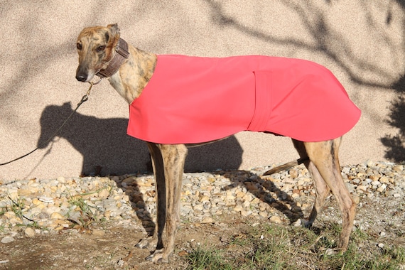 Greyhound coats etsy Clearance