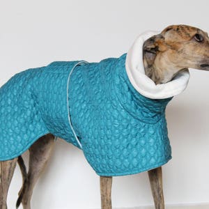 Greyhound coat, greyhound coat, greyhound clothing, greyhound winter coat,