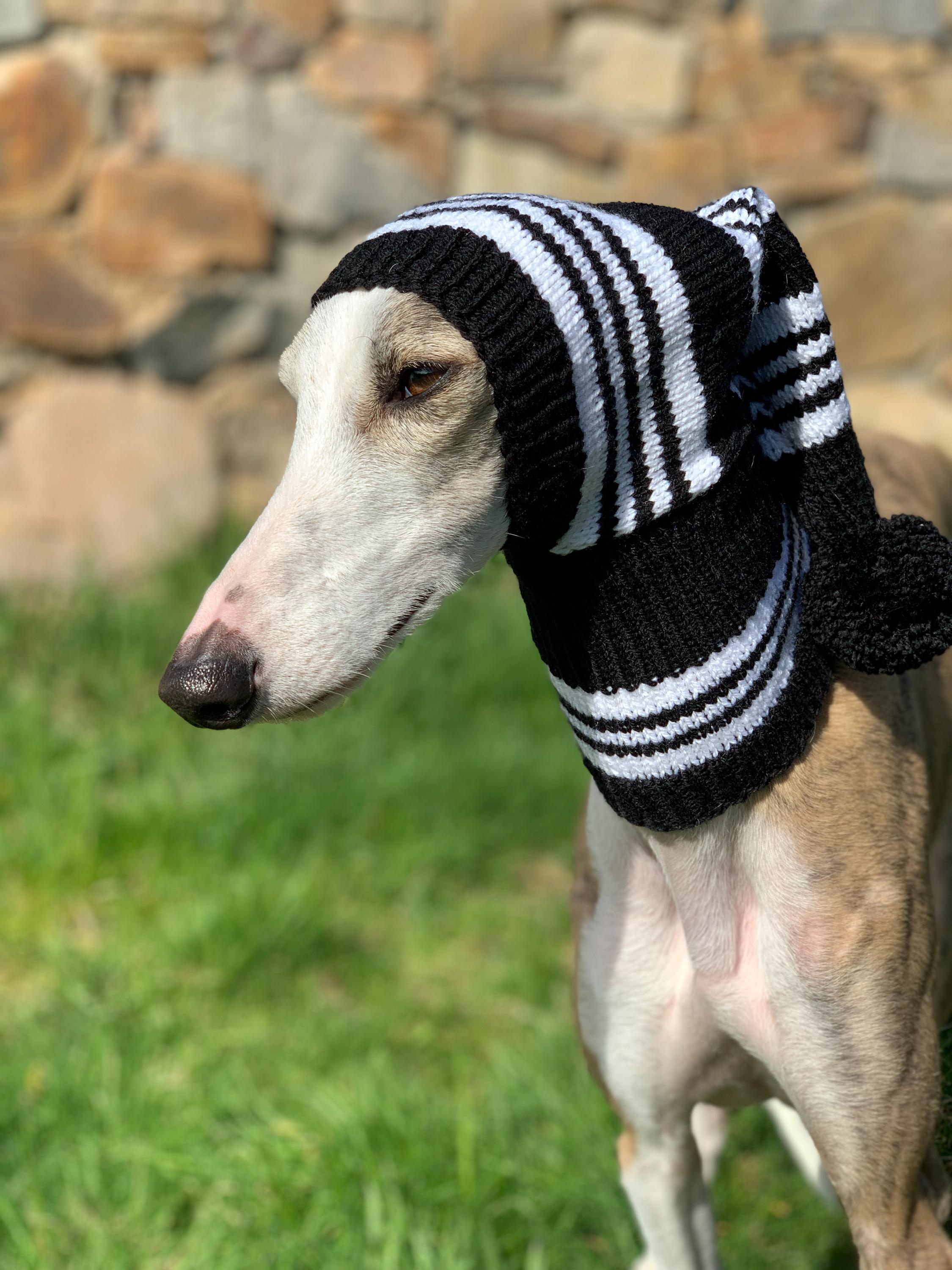 Hat Whippet Dog Accessories Dog Hat Wool Italian Greyhound Snood