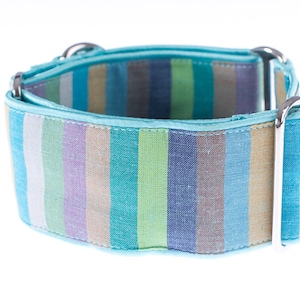 Blue martingale dog collar, greyhound, galgo, saluki, turquoise collar
