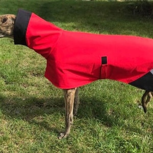 Greyhound coat, greyhound clothing, greyhound  coat,