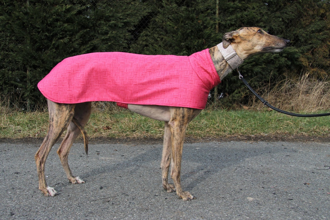 Greyhound Clothing, Greyhound Coat, Greyhound Sweater, Greyhound Coat