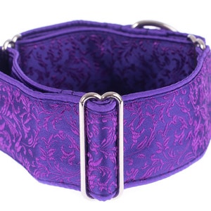 Martingale Halsband, Windhundhalsband, 5 cm, Martingale Halsband, Martingale Halsbänder