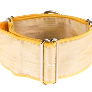 Martingale collar, martingale dog collar, 2 inch martingale collar, dog collar