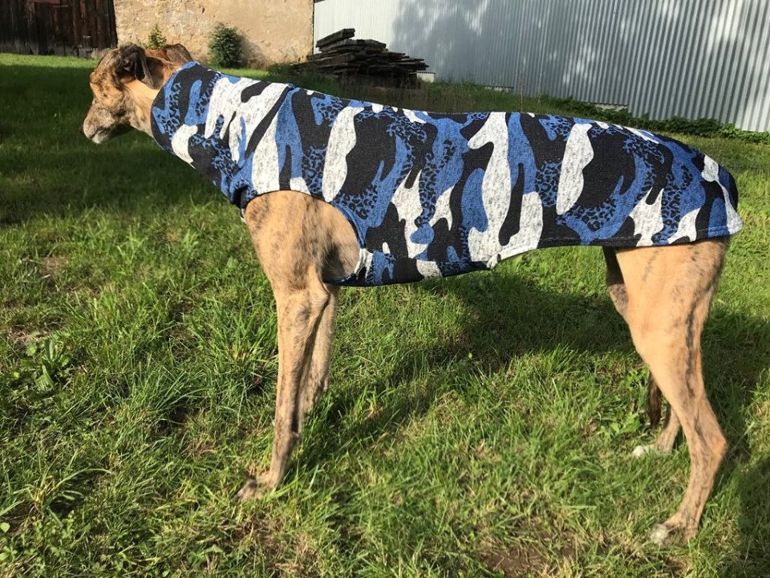 Greyhound Clothing Greyhound Sweater Greyhound Coat Etsy