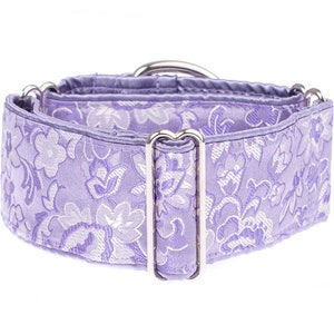 Martingale Kragen, Windhund Kragen, 2 Zoll, Hundehalsband, Martingale Kragen, Kragen, Martingale Kragen