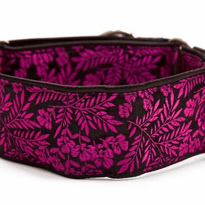 Martingale Halsband, Windhundhalsband, 5 cm, Martingale Halsband, Martingale Halsbänder