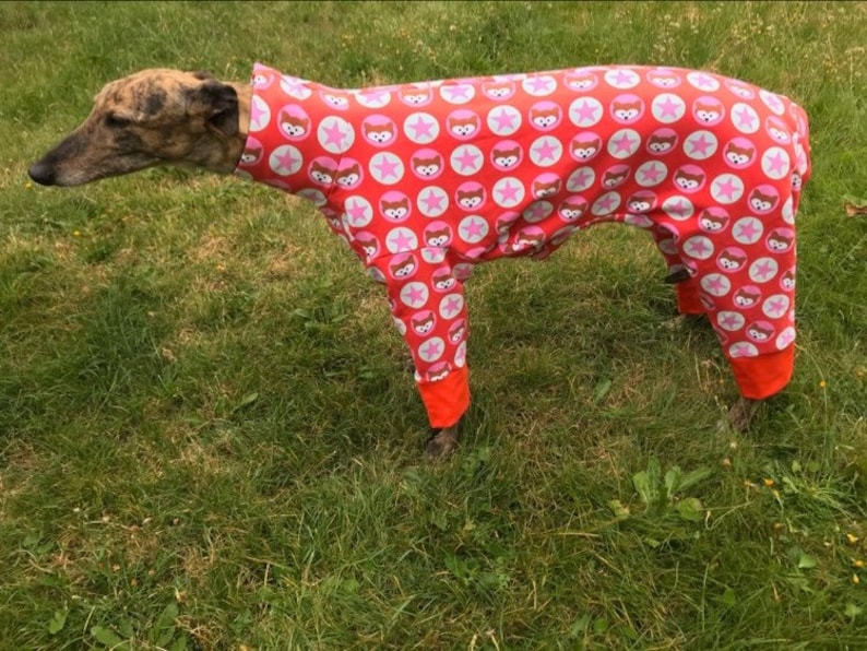 Greyhound pajamas pajamas Greyhound sweater greyhound Etsy