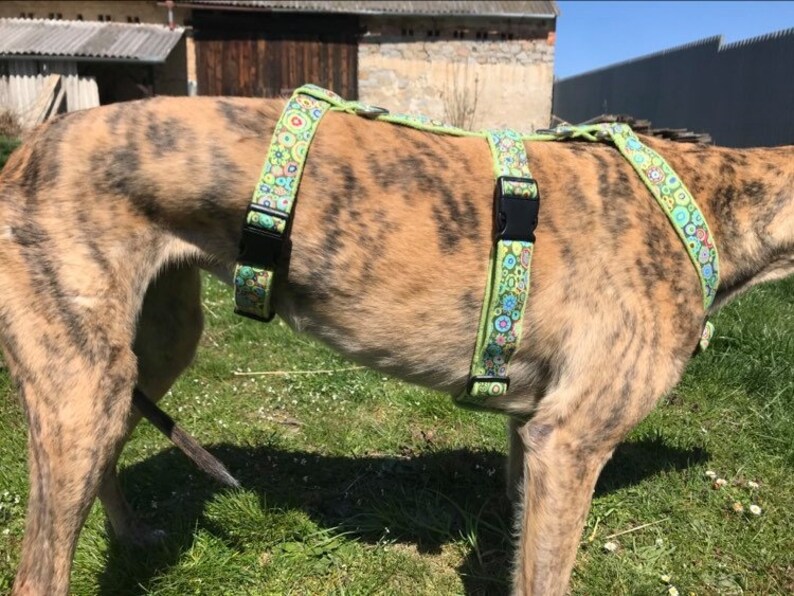 Greyhound harness galgo dog harness Etsy