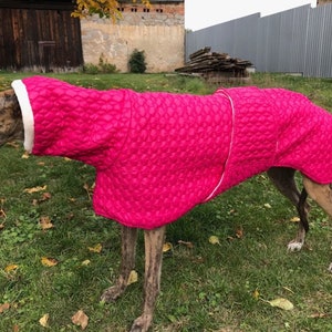 Abrigo polar impermeable para galgos: ropa de invierno para galgos