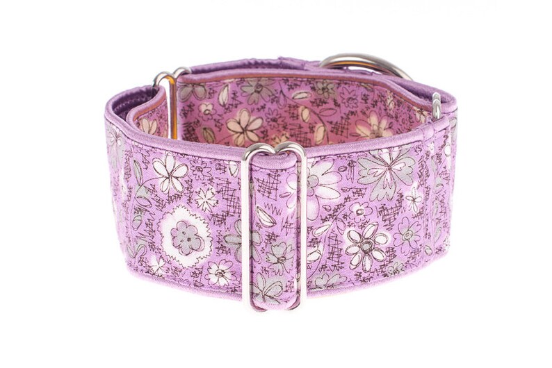 1.5 Inch Martingale Collar Martingale Martingale Dog Etsy