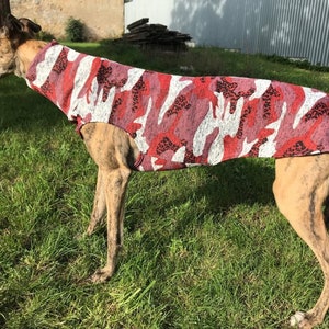 Greyhound clothing, greyhound sweater, greyhound coat, greyhound - galgo clothing