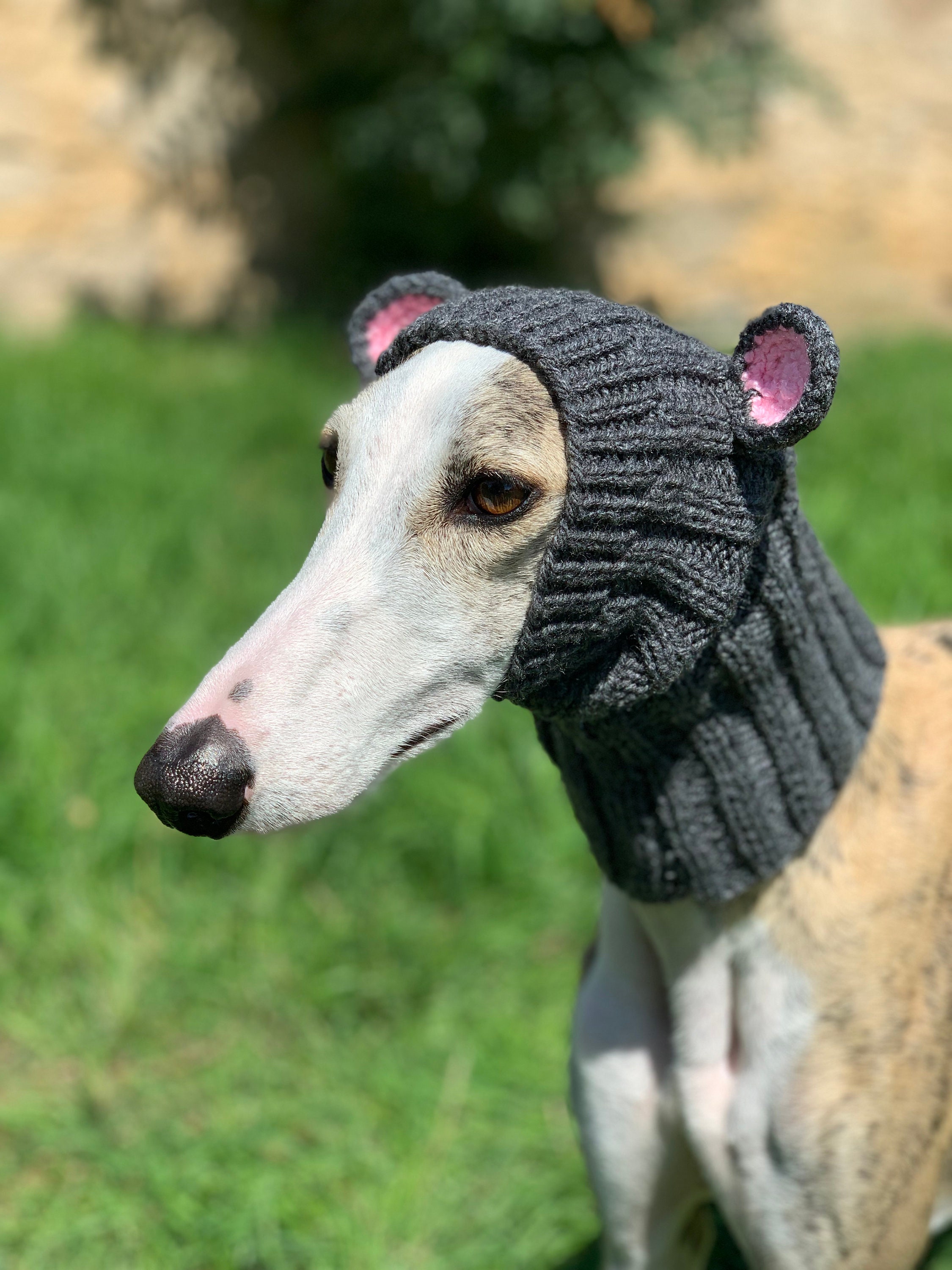 Knitted hats for greyhounds cheap