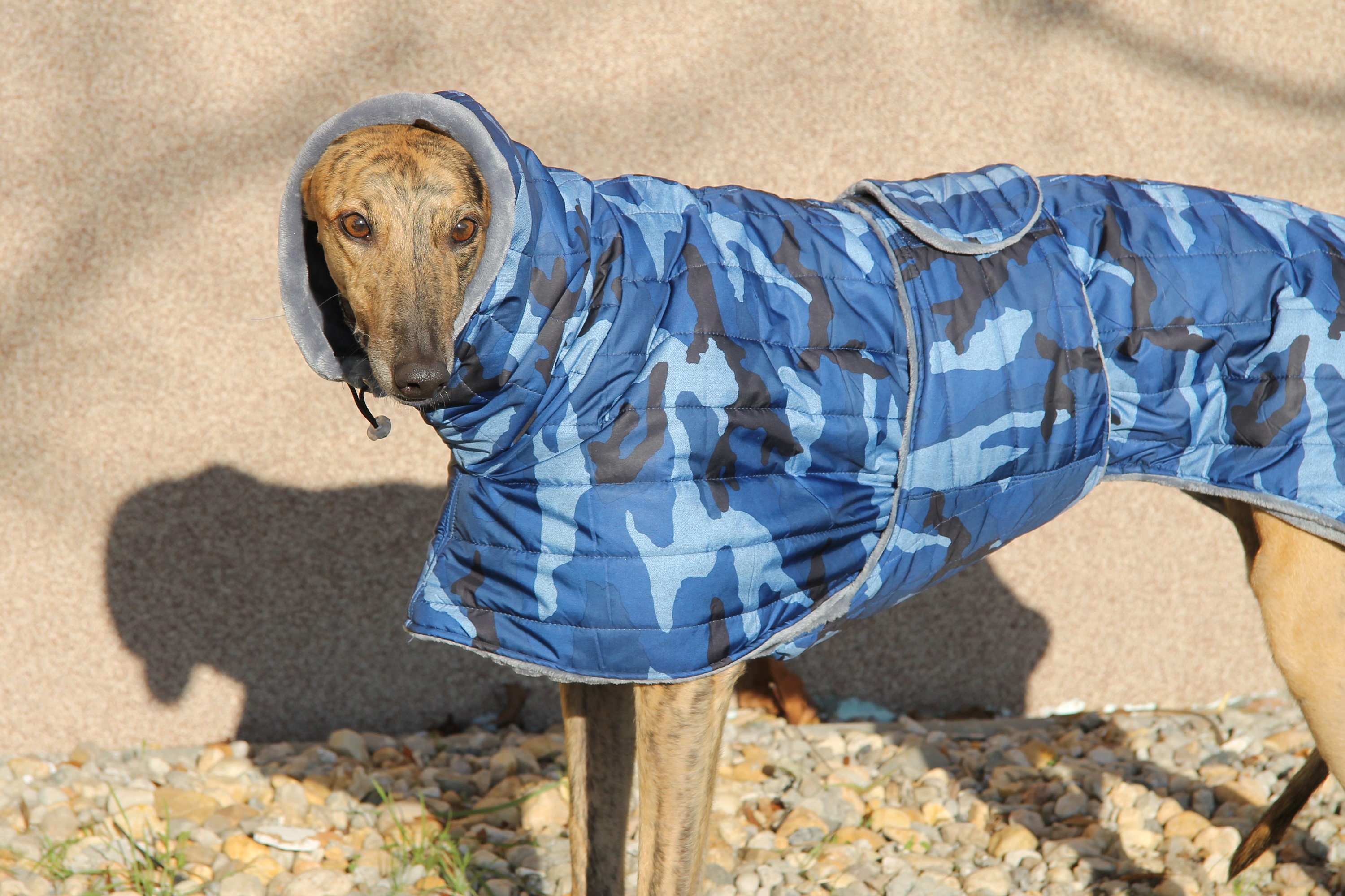 Greyhound Coat Greyhound Clothing Greyhouhnd Coats Etsy Canada
