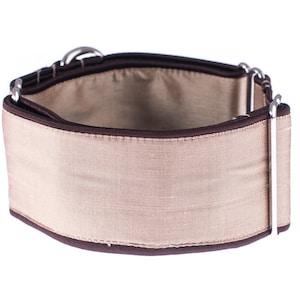 Martingale collar, martingale dog collar, 2 inch martingale collar, dog collar