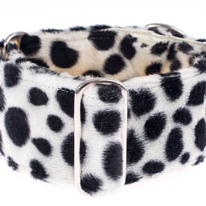 Martingale collar, martingale dog collar, 2 inch, greyhound collar, martingale