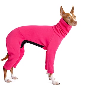 Italian greyhound jumper, iggy clothing,  overal, iggy coat