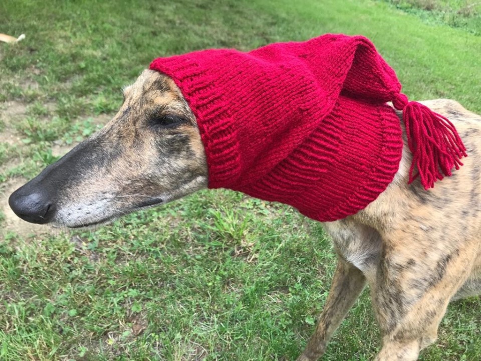 Greyhound greyhound hat, Sighthound hat Galgo Greyhound hat