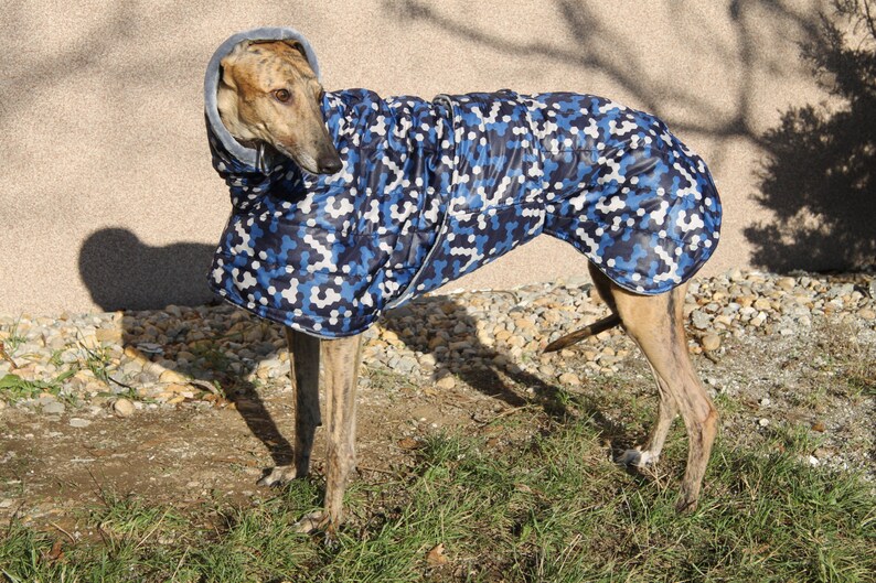 Greyhound coat greyhound clothing greyhouhnd coats Etsy