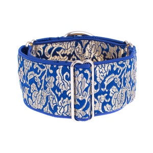 1.5 martingale collar, martingale collar, martingale dog collar, blue, gold, martingale