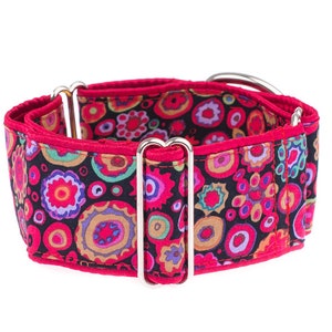 Collar para perro Martingala de algodón floral - 2 pulgadas de ancho