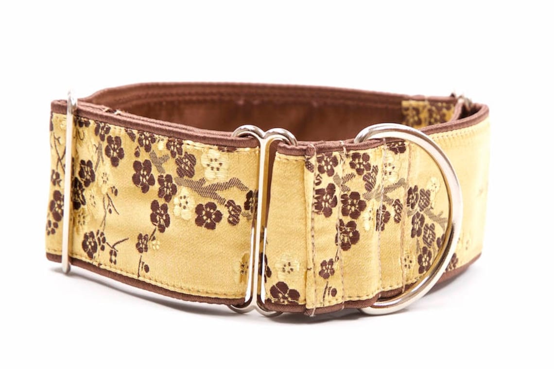 Martingale collar greyhound collar 2 inch dog collar Etsy