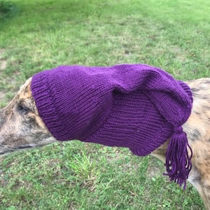 Greyhound hat, Greyhound - Galgo - Sighthound hat, greyhound hat,