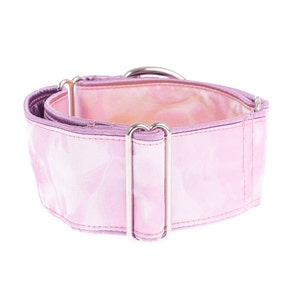 Martingale collar, martingale dog collar, dog collar, martingale