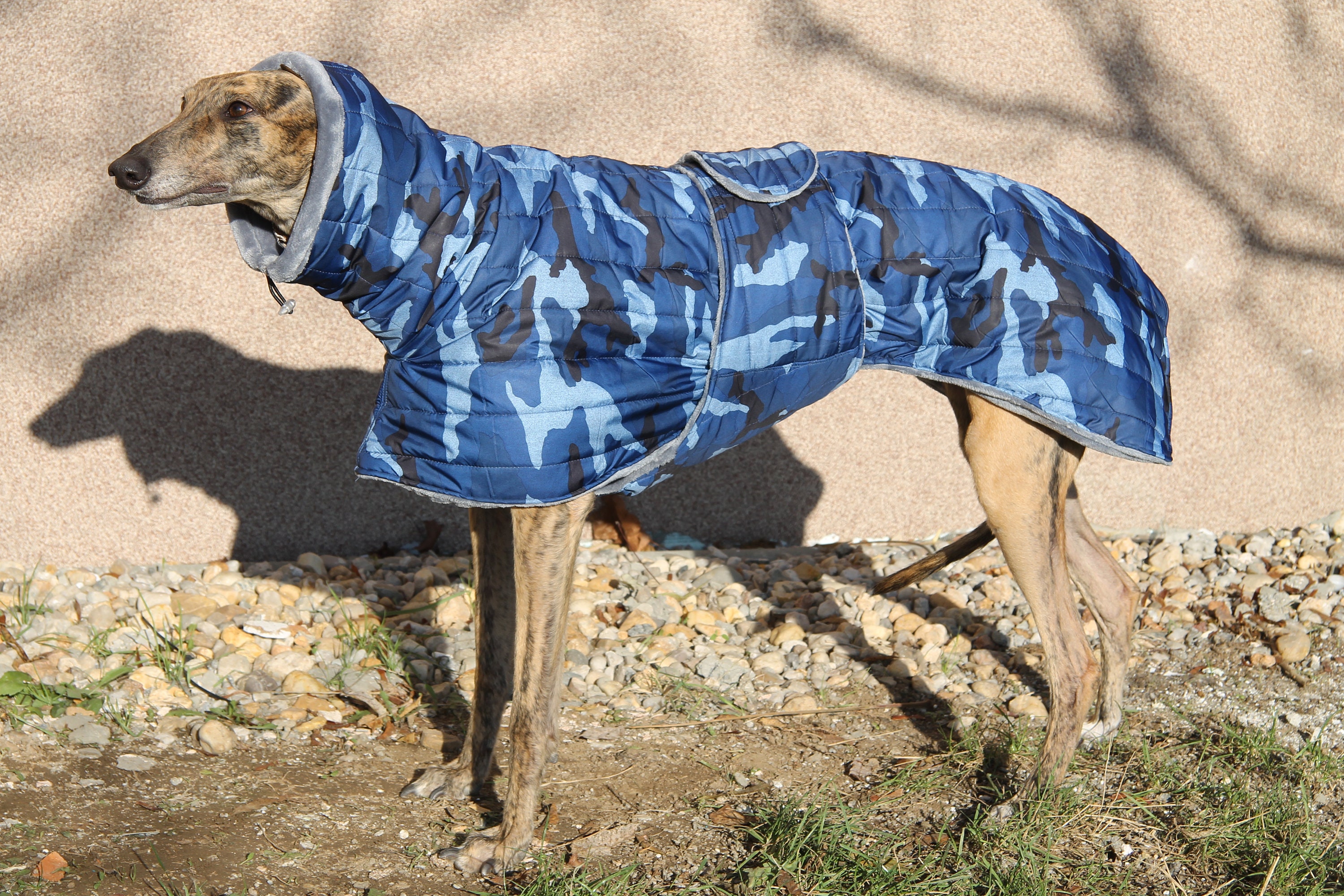 Greyhound coat greyhound clothing greyhouhnd coats Etsy