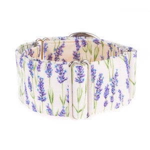 2 Inch Cotton Martingale Dog Collar: Greyhound Collar