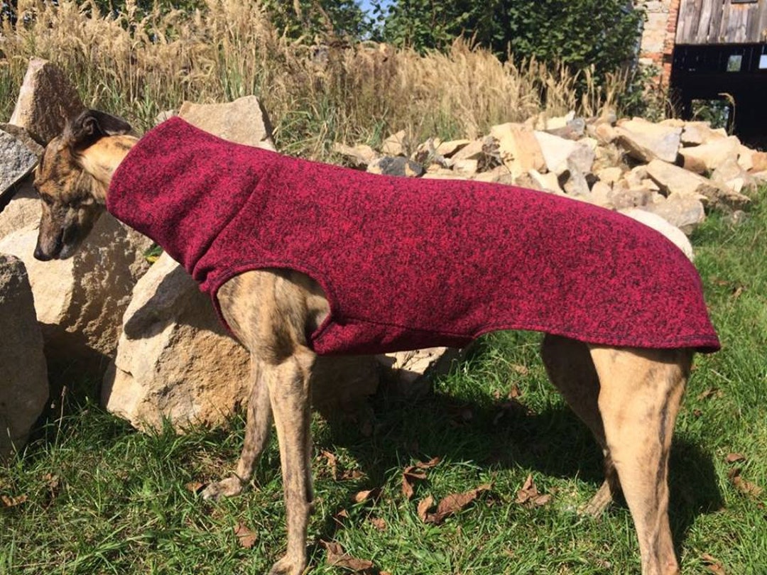 Greyhound Clothing, Greyhound Sweater, Greyhound Coat, Greyhound Galgo