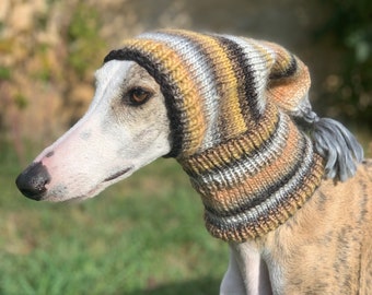 Gorro de galgo, Galgo - Galgo - Gorro de galgo, redecilla, redecilla de galgo, gorro de galgo,