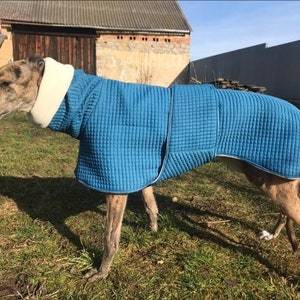 Greyhound coat, greyhound coat, greyhound clothing, greyhound winter coat,