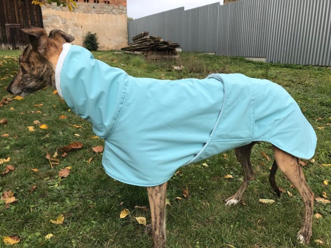 Jersey De Invierno Para Galgo - Abrigo Cálido Con Capucha Desmontable, Talla M, Color Azul, Para Perros Delgados