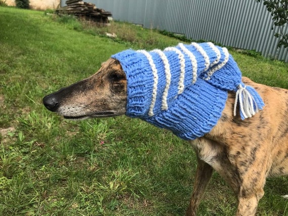 Greyhound greyhound hat, Sighthound hat Galgo Greyhound hat