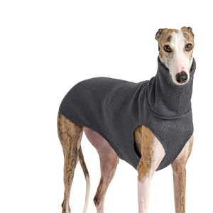 Greyhound clothing, greyhound sweater, , greyhound coat, greyhound - galgo clothing