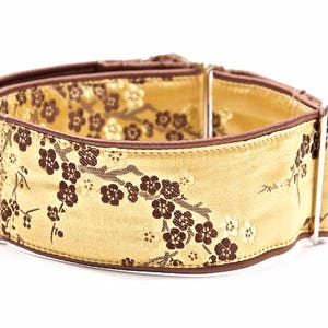 Martingale Halsband, Windhundhalsband, 2 Zoll, Hundehalsband, Martingale Halsband, Martingale Halsbänder