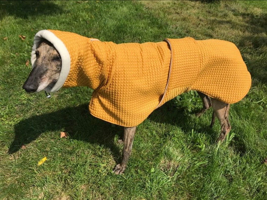 Greyhound Coat, Greyhound Coat, Greyhound Clothing, Greyhound Winter