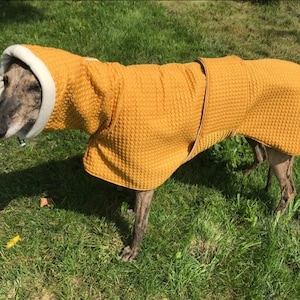 Greyhound coat, greyhound coat, greyhound clothing, greyhound winter coat,