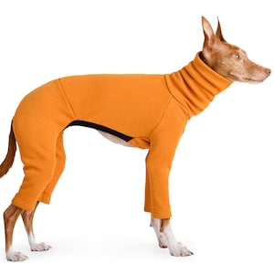 Italian greyhound jumper, iggy clothing,  overal, iggy coat