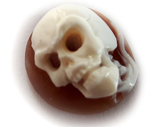 Loose shell cameo Skull italian cameo jewelry donadio cameo shell sardonyx cameo camée lâche ルーズカメオ свободная камея camafeo flojo