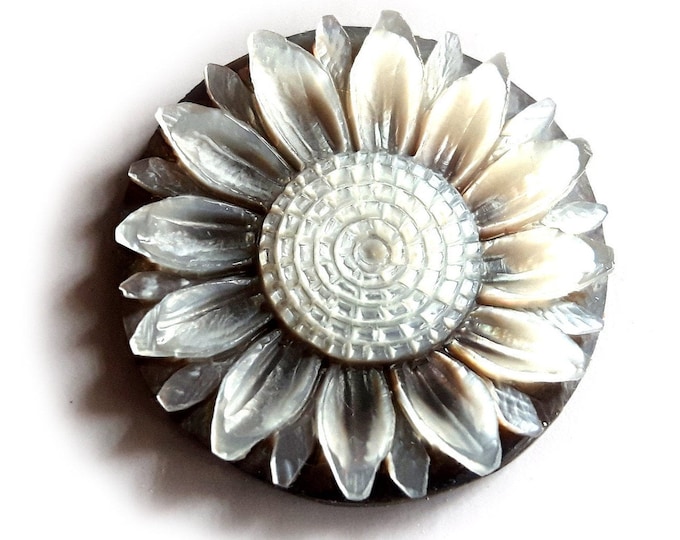 Mother of pearl cameo sunflower italian cameos donadio cameo shell camée lâche ルーズカメオ свободная камея camafeo flojo