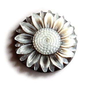 May include: A white mother of pearl sunflower button with a dark brown shell backing. The sunflower has a detailed centre and petals.