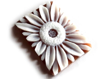 Shell Cameo: Hand Carved Daisy, Sardonyx Loose Gemstone