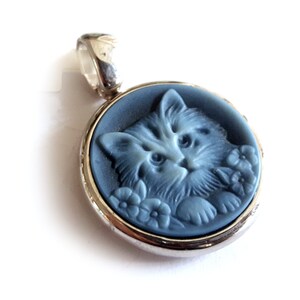 Ciondolo cammeo in agata blu gatto cammeo italiano gioielli donadio cammei in agata pendentif camée colgante camafeo カメオペンダント Камея подвеска