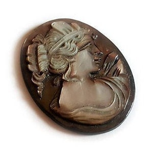 May include: A cameo featuring a woman's profile carved in shell, set in a dark brown oval frame.
