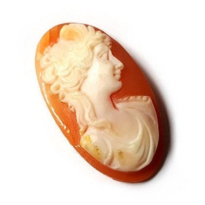 May include: A cameo featuring a carved profile of a woman's face, set in a shell with an orange-brown background.