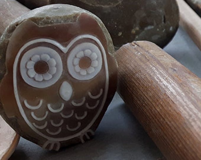 Shell cameo owl italian cameo jewelry donadio cameo shell sardonyx cameo camée lâche ルーズカメオ свободная камея camafeo flojo