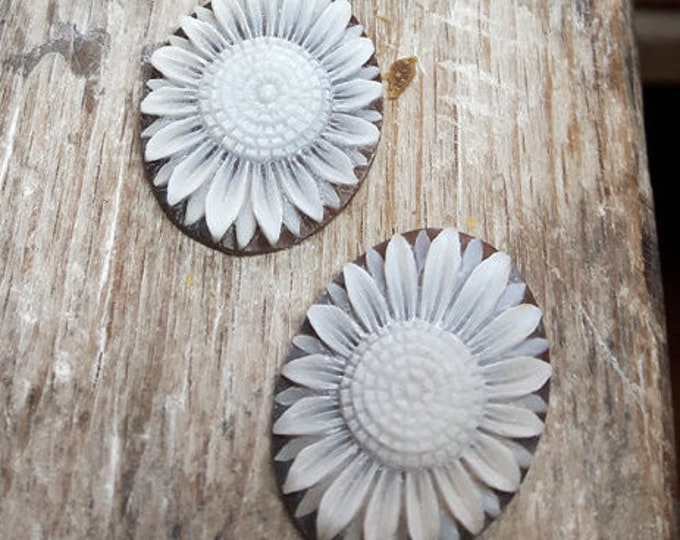 Loose shell cameo oval sunflower italian cameo jewelry donadio cameo shell sardonyx cameo camée lâche ルーズカメオ свободная камея camafeo flojo