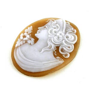 May include: A cameo featuring a woman's profile carved in white against a brown background. The woman is wearing a decorative headdress and has a flower in her hair.